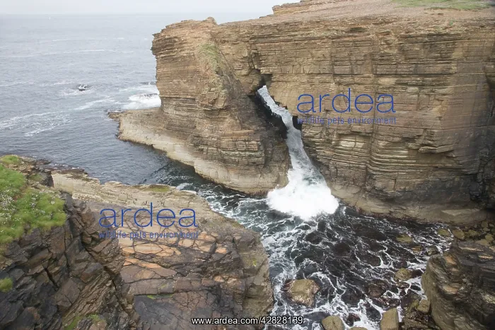 : Water flowing through Sea Arch : Water flowing through Sea Arch