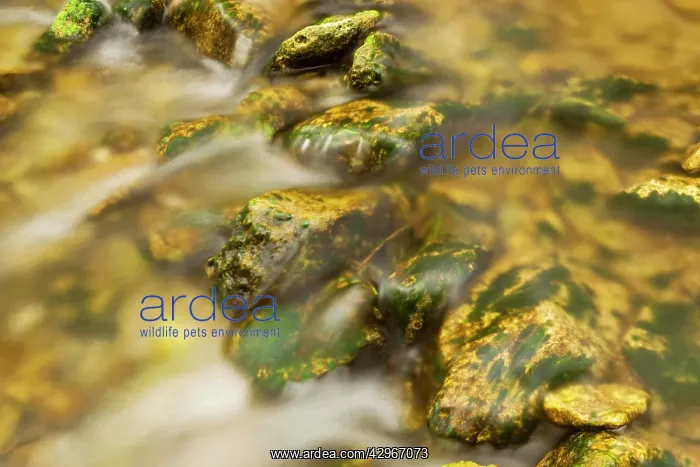 : Water flowing over smooth rocks in the Naukluft : Water flowing over smooth rocks in the Naukluft
