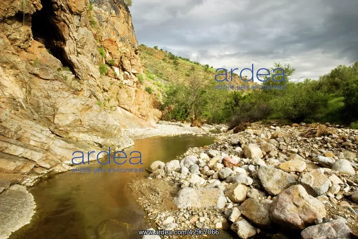 : Water flows in the Naukluft Mountains under a stormy : Water flows in the Naukluft Mountains under a stormy