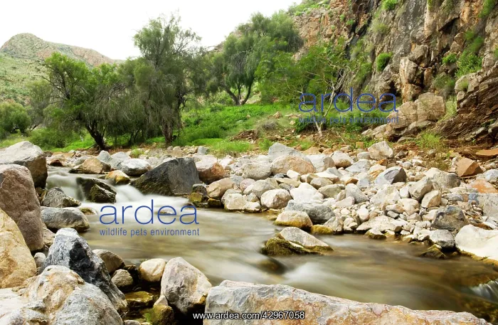 : Water flows through a rock strewn valley in the : Water flows through a rock strewn valley in the