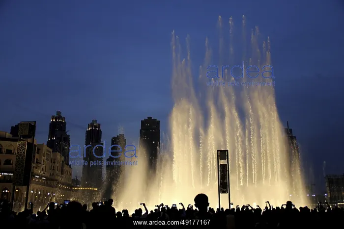 : Water fountains in the evening : Water fountains in the evening