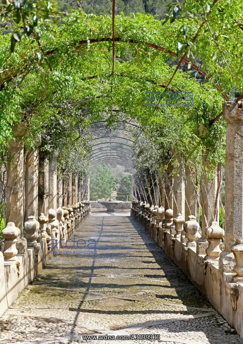 : Water games, Jardines de Alfabia, Majorca, Balearic : Water games, Jardines de Alfabia, Majorca, Balearic