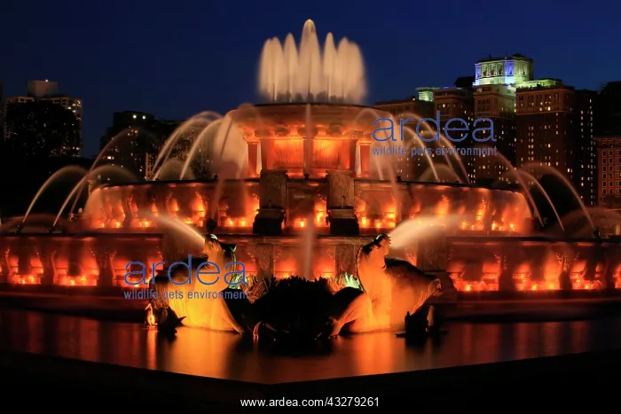 : Water Jets of Buckingham Fountain in Grant Park : Water Jets of Buckingham Fountain in Grant Park