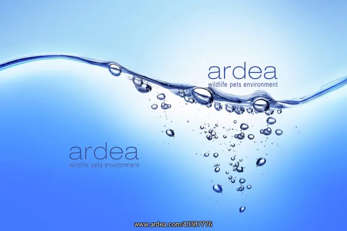 : a water line against a blue background : a water line against a blue background
