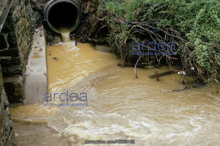 : Water Pollution : Water Pollution