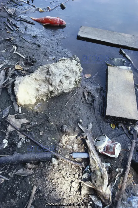 : Water Pollution : Water Pollution