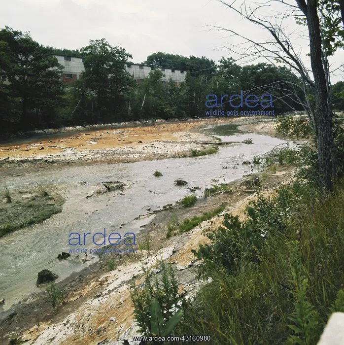 : Water Pollution, Nashua River, Fitchburg, MA : Water Pollution, Nashua River, Fitchburg, MA