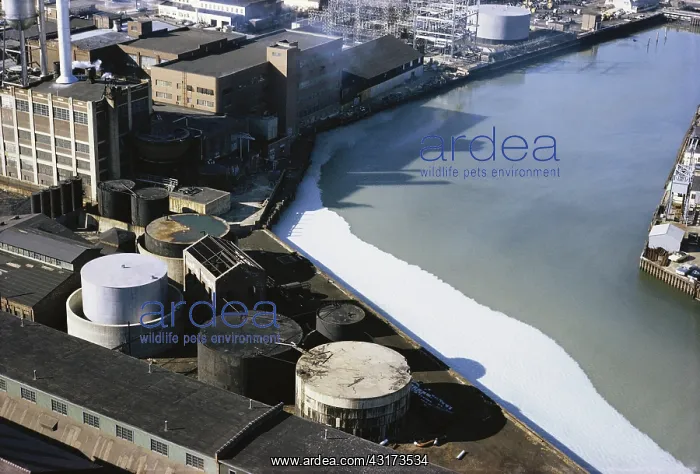 : Water Pollution from Paper Factory : Water Pollution from Paper Factory