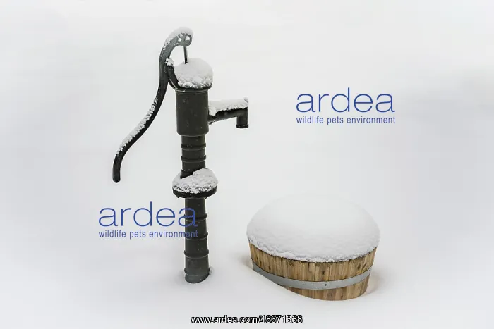 : Water pump and barrel in snow, Green Valley Lake : Water pump and barrel in snow, Green Valley Lake
