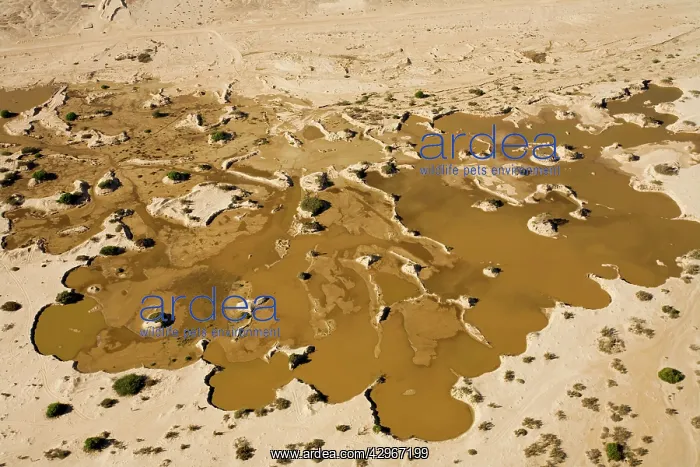 : Water from recent rains accumulates in an excavation : Water from recent rains accumulates in an excavation
