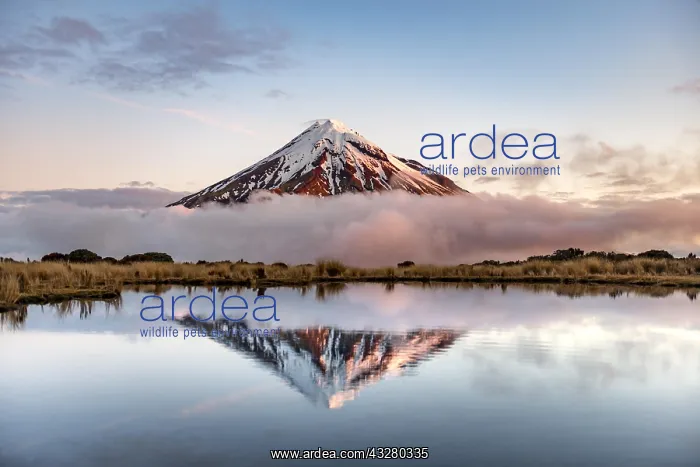  : Water reflection in Pouakai Tarn Mountain Lake at