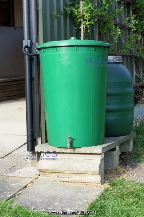 : Water Tanks - two linked green plastic water butts : Water Tanks - two linked green plastic water butts