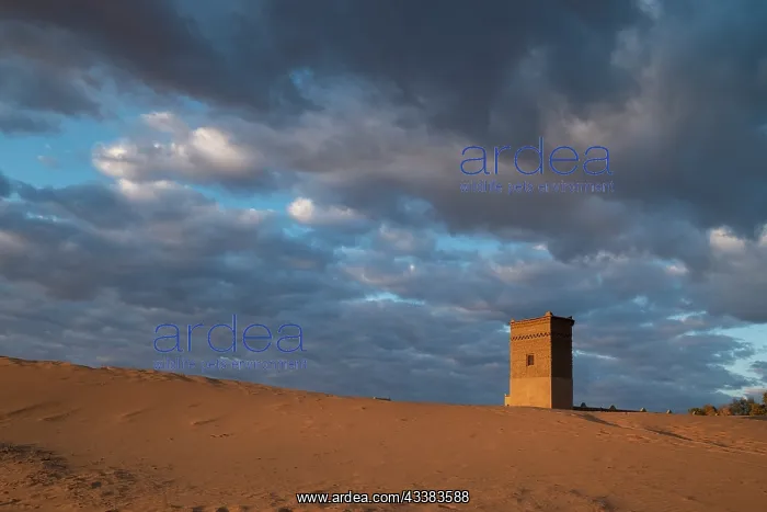 : Water tower glows orange in sunrise light : Water tower glows orange in sunrise light
