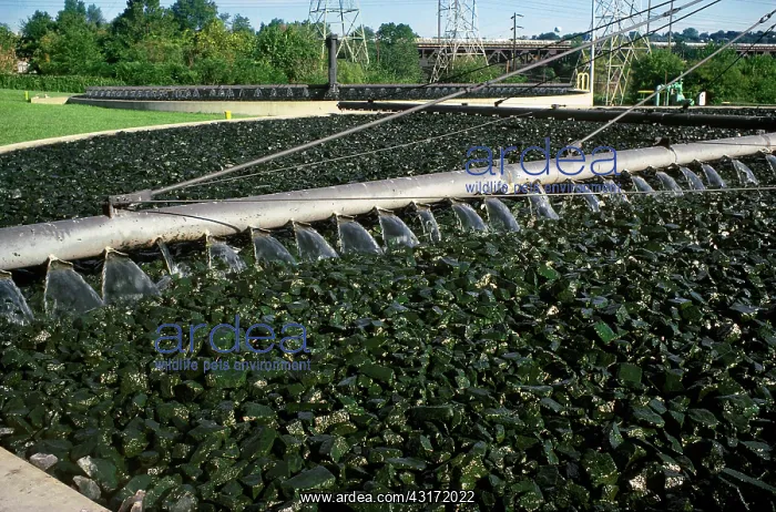 : Water Treatment Plant : Water Treatment Plant