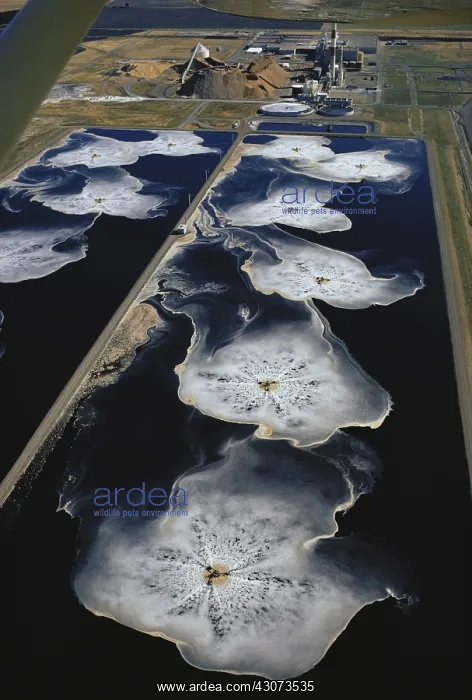 : Water Treatment Pond Outside Factory : Water Treatment Pond Outside Factory
