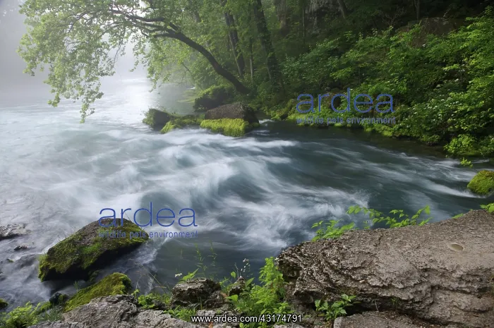 : Water From an Underground Spring : Water From an Underground Spring