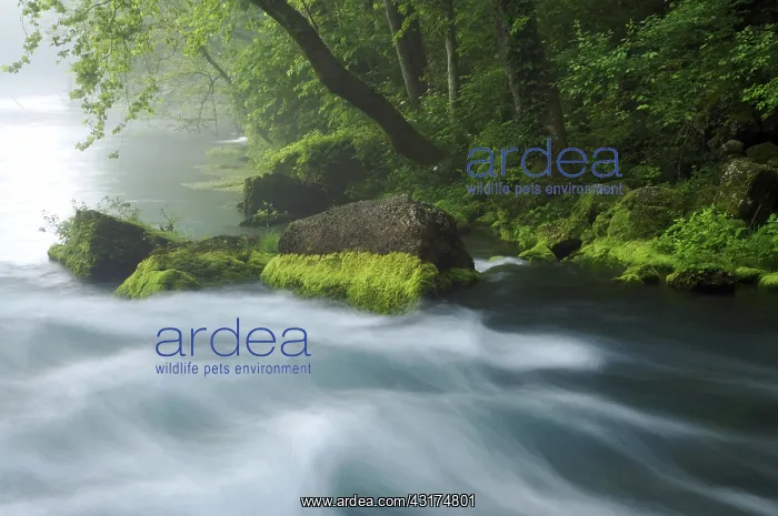 : Water From an Underground Spring : Water From an Underground Spring