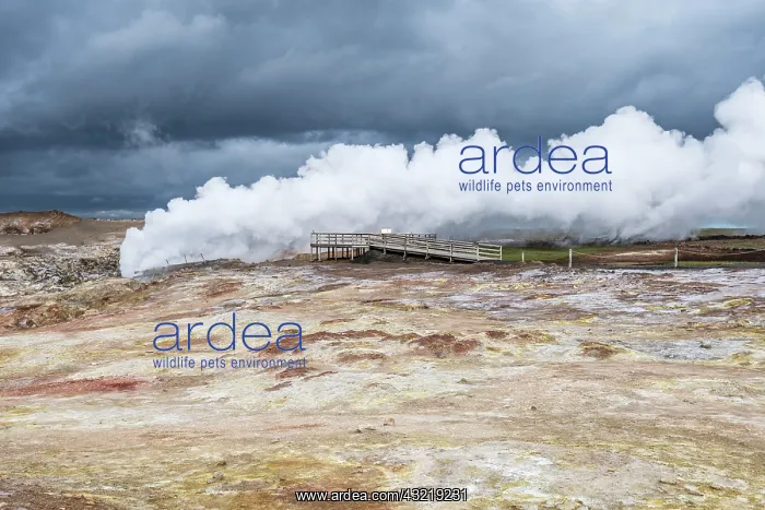 : Water vapor coming out of a hole, geothermal area : Water vapor coming out of a hole, geothermal area