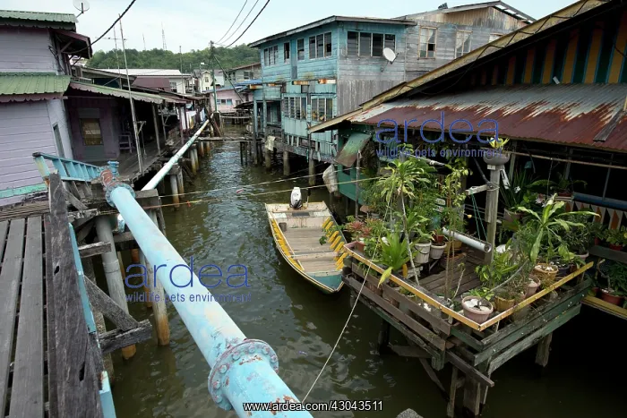 : Water Village Walkway with blue water pipe and shacks : Water Village Walkway with blue water pipe and shacks