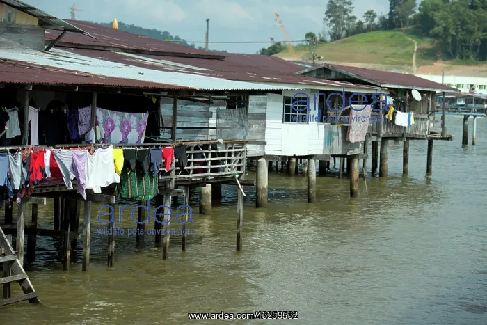 : Water Village Walkway and shacks on stilts with : Water Village Walkway and shacks on stilts with