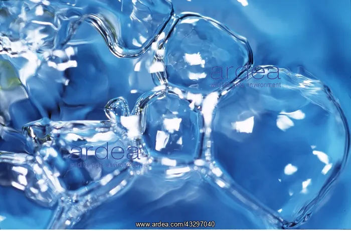 : WATER - WATERBUBBLES : WATER - WATERBUBBLES