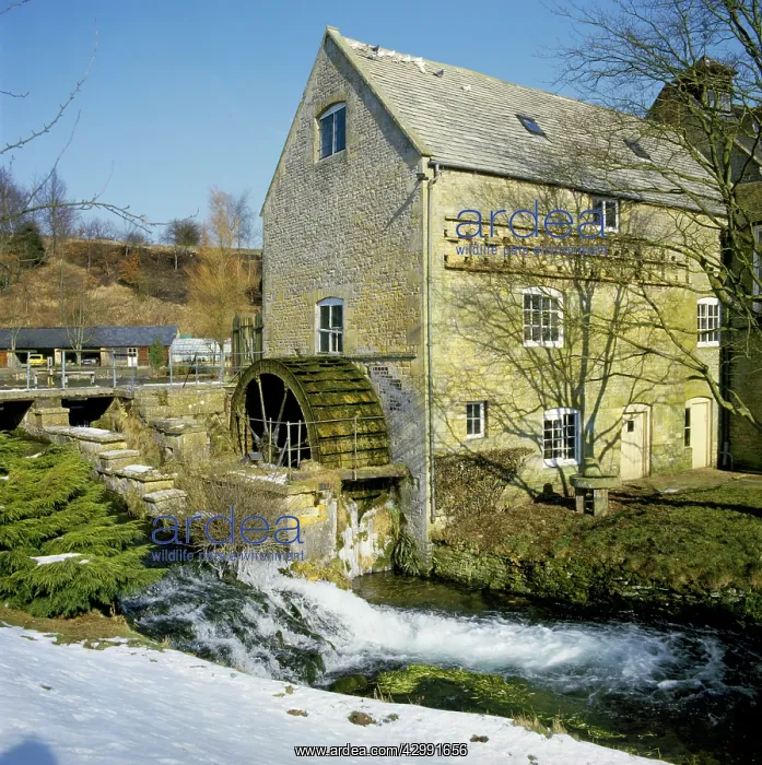 : Water Wheel : Water Wheel