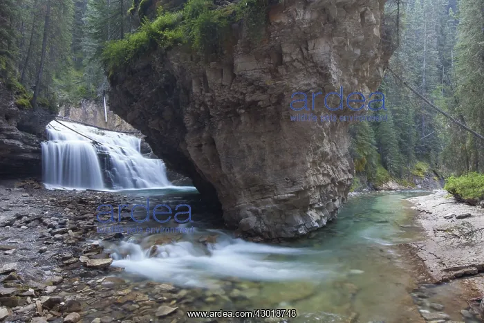  : Waterfall