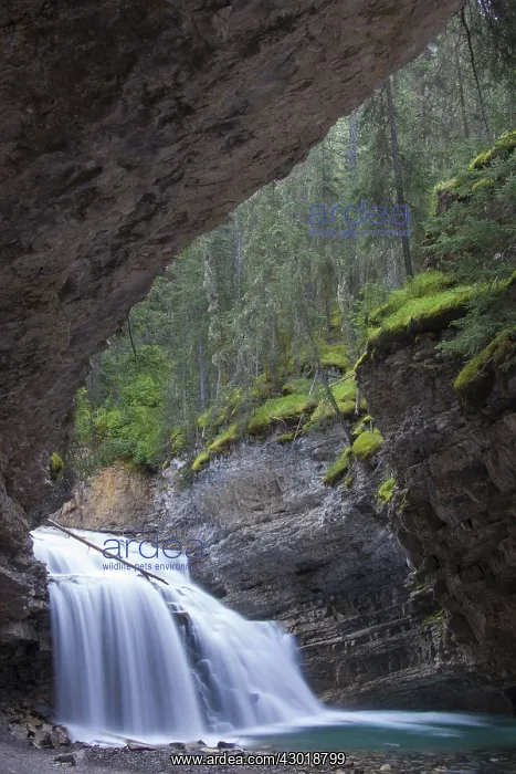  : Waterfall