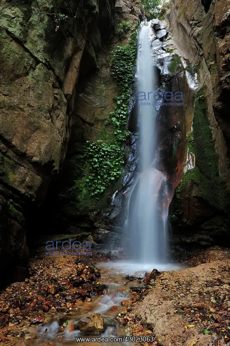 : Waterfall - Gombe Stream National Park, Tanzania : Waterfall - Gombe Stream National Park, Tanzania