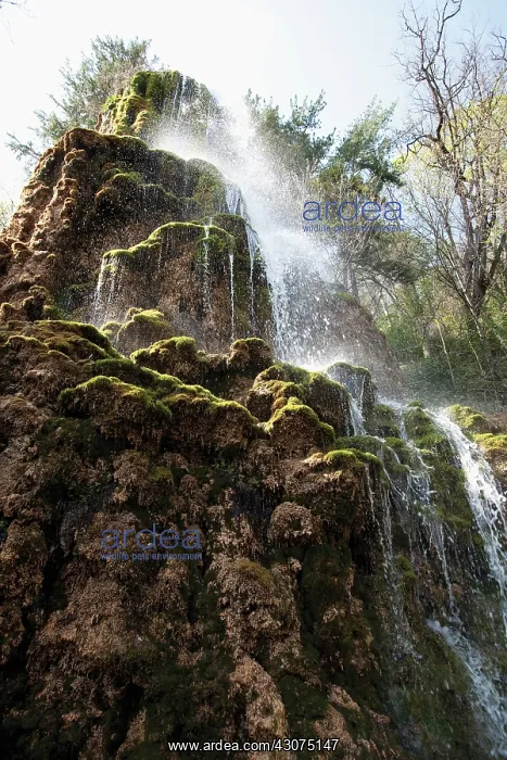 : Waterfall : Waterfall