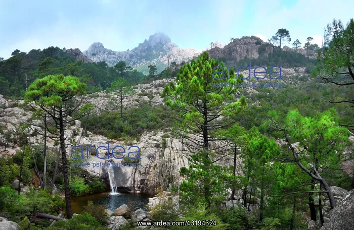 : Waterfall in the Aiguilles de Bavella, Corsica : Waterfall in the Aiguilles de Bavella, Corsica