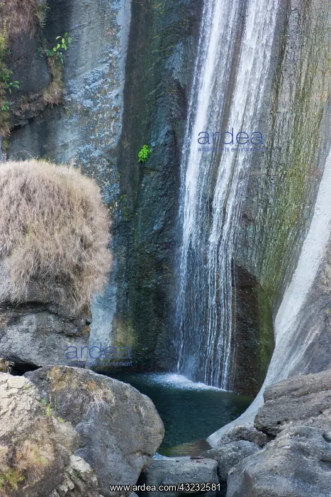 : Waterfall, Baguio, Benguet Province, Philippines : Waterfall, Baguio, Benguet Province, Philippines
