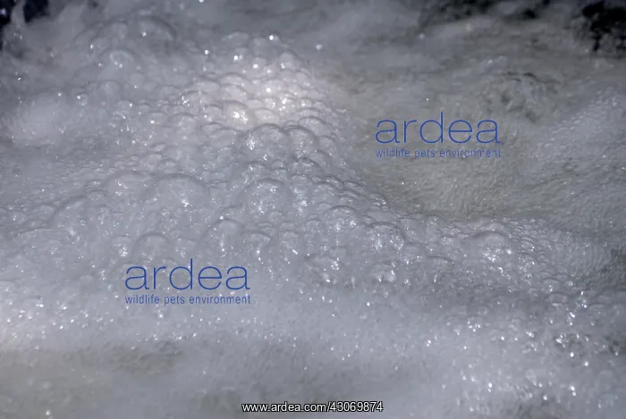 : Waterfall Bubbles : Waterfall Bubbles