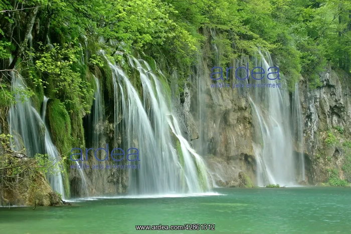 : Waterfall - cascades and emerald pool in forest : Waterfall - cascades and emerald pool in forest