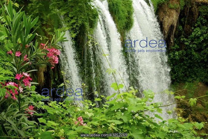 : Waterfall cascades from ravine in Turkey : Waterfall cascades from ravine in Turkey