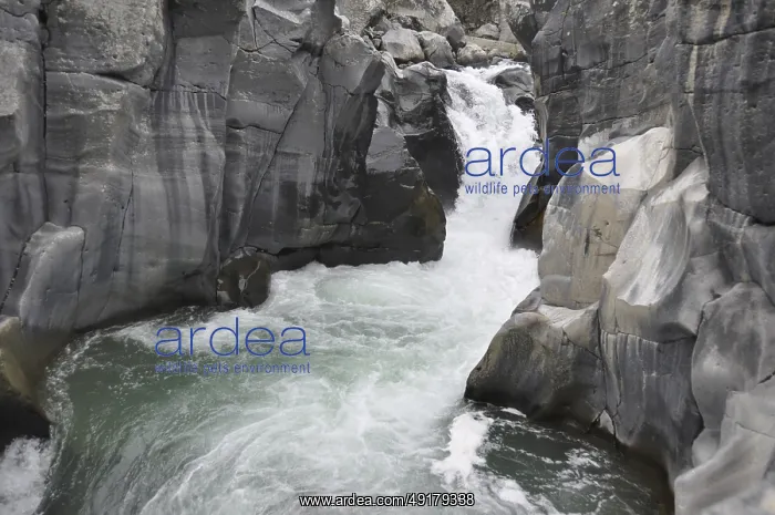 : A waterfall cascading through gray rocky canyons amidst rugged terrain : A waterfall cascading through gray rocky canyons amidst rugged terrain
