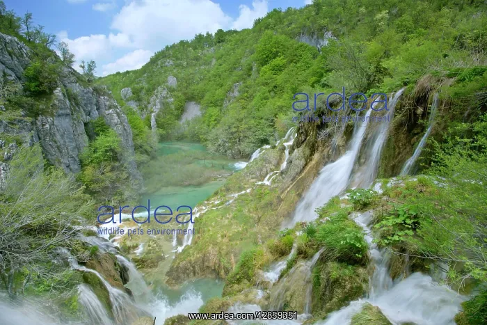  : Waterfall - cascading down steep cliffs in lower