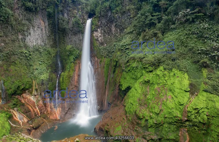 : Waterfall Catarata del Toro in Costa Rica, Cost : Waterfall Catarata del Toro in Costa Rica, Cost
