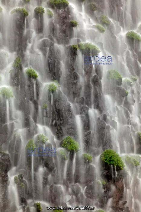  : Waterfall close-up, Columbia River Gorge, Oregon