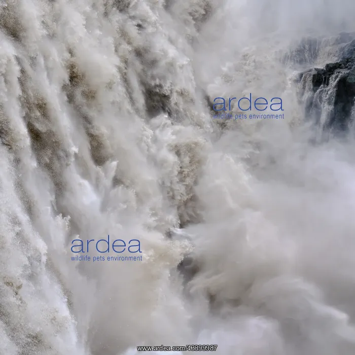 : Waterfall Dettifoss in the Vatnajokull National : Waterfall Dettifoss in the Vatnajokull National