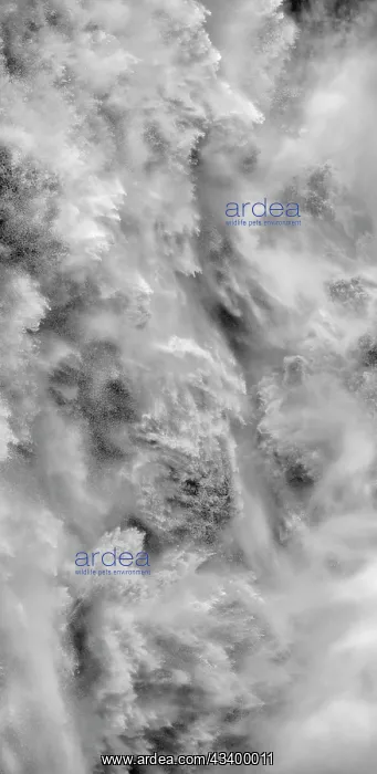: Waterfall Dettifoss in the Vatnajokull National : Waterfall Dettifoss in the Vatnajokull National