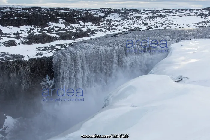 : Waterfall Dettifoss in winter Nordurland eystra Iceland : Waterfall Dettifoss in winter Nordurland eystra Iceland