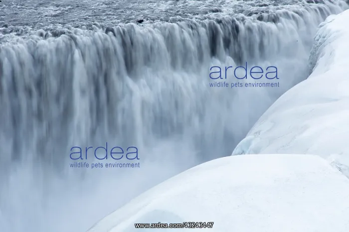  : Waterfall Dettifoss in winter Nordurland eystra Iceland