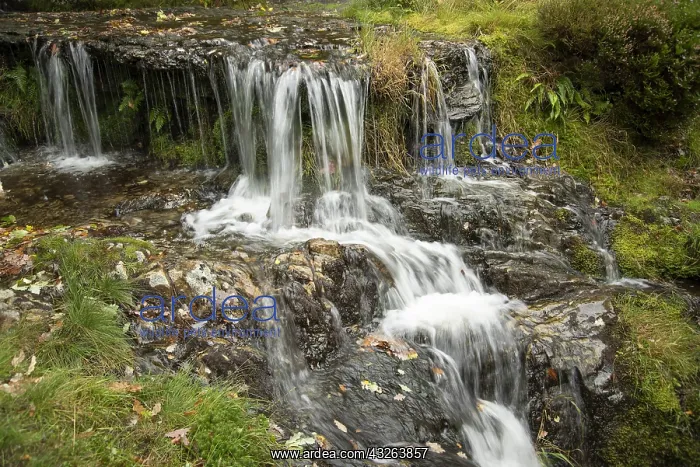 : Waterfall. Elan Vally, Mid Wales, autumn leaves : Waterfall. Elan Vally, Mid Wales, autumn leaves