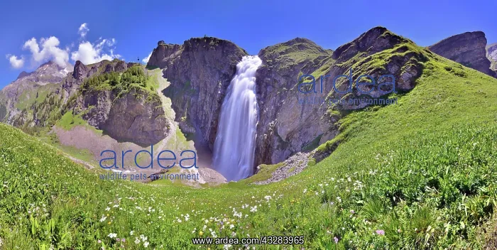: Waterfall, Engstligen Falls, Panorama, Engstligenalp : Waterfall, Engstligen Falls, Panorama, Engstligenalp