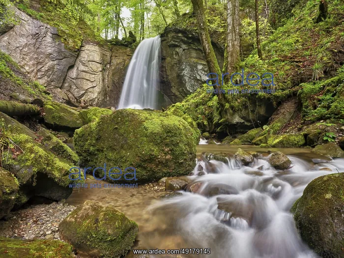 : Waterfall, Finstersee, Canton Zug, Switzerland : Waterfall, Finstersee, Canton Zug, Switzerland