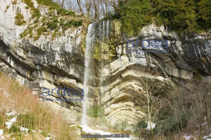 : Waterfall over folded Jurassic limestone strata : Waterfall over folded Jurassic limestone strata