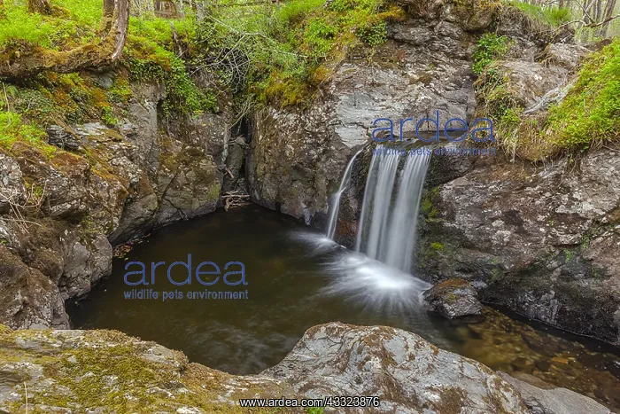  : Waterfall in forest - little canyon with waterfall