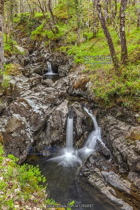 : Waterfall in forest - series of waterfalls and rock : Waterfall in forest - series of waterfalls and rock