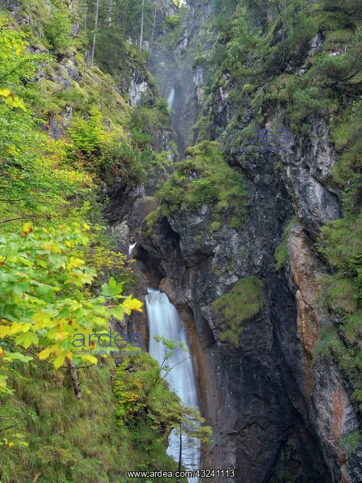 : Waterfall in gorge of Gaisalpbach near Oberstdorf : Waterfall in gorge of Gaisalpbach near Oberstdorf